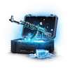 Case