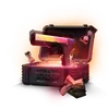 Case