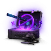 Case